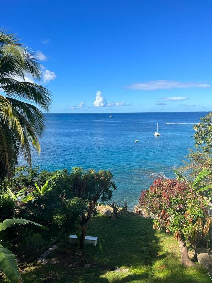 Casa Del Vega A Little Peace Of Heaven Otel Castries Dış mekan fotoğraf
