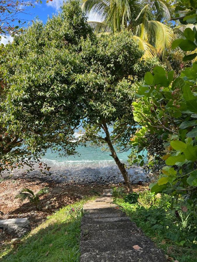 Casa Del Vega A Little Peace Of Heaven Otel Castries Dış mekan fotoğraf