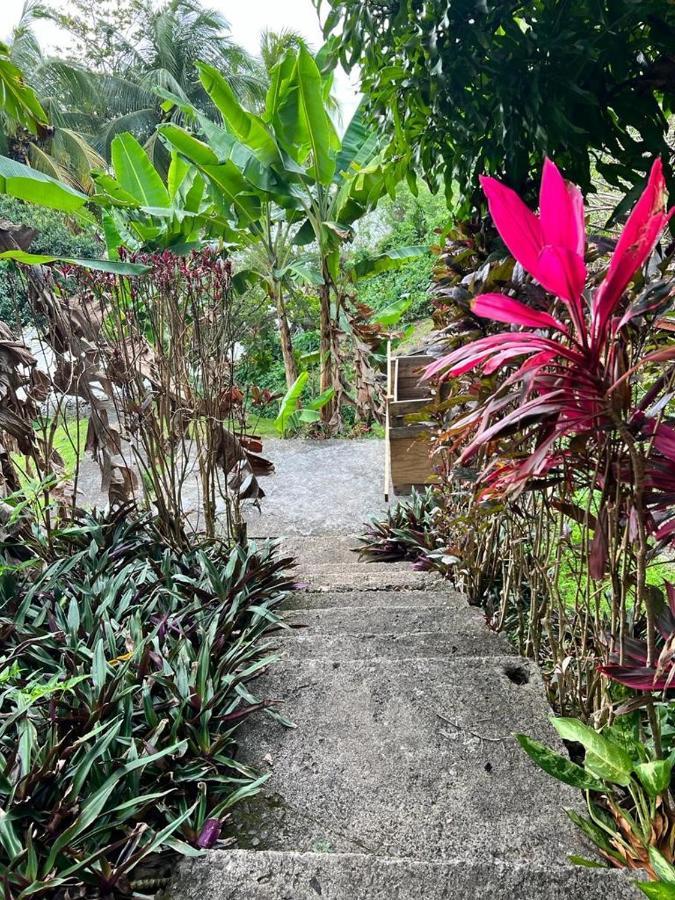 Casa Del Vega A Little Peace Of Heaven Otel Castries Dış mekan fotoğraf