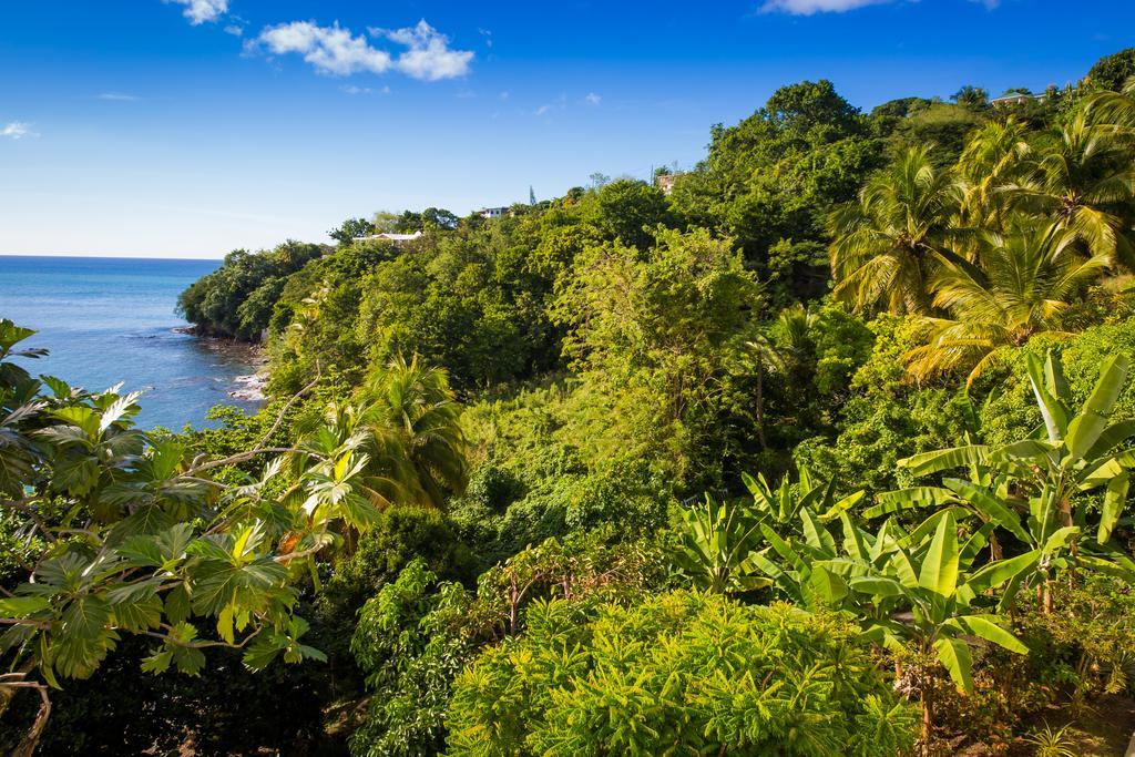 Casa Del Vega A Little Peace Of Heaven Otel Castries Dış mekan fotoğraf