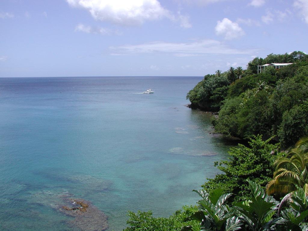 Casa Del Vega A Little Peace Of Heaven Otel Castries Oda fotoğraf
