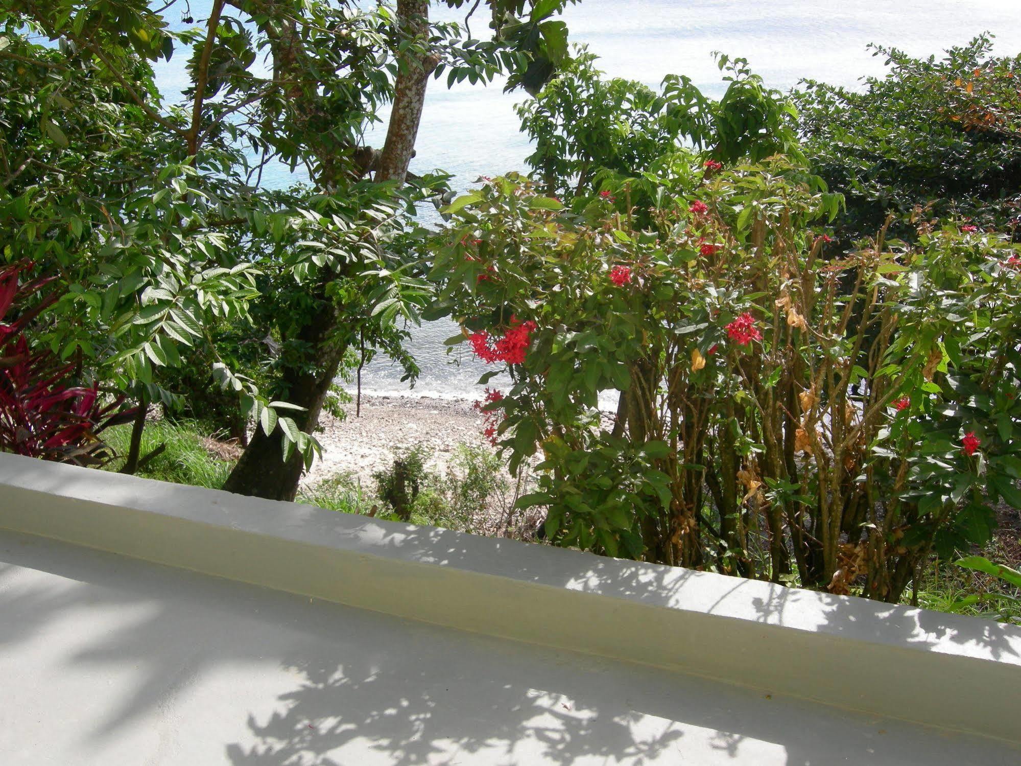 Casa Del Vega A Little Peace Of Heaven Otel Castries Dış mekan fotoğraf